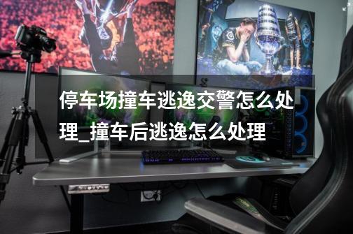 停车场撞车逃逸交警怎么处理_撞车后逃逸怎么处理-第1张-游戏资讯-龙启网络