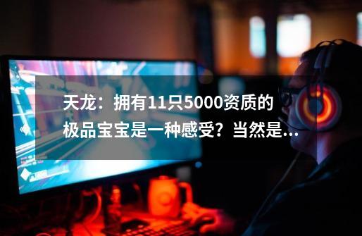 天龙:拥有11只5000+资质的极品宝宝是一种感受?当然是快乐啊!-第1张-游戏资讯-龙启网络