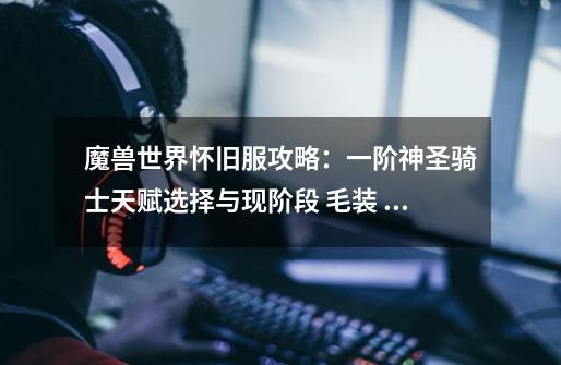 魔兽世界怀旧服攻略:一阶神圣骑士天赋选择与现阶段 毛装 指南-第1张-游戏资讯-龙启网络