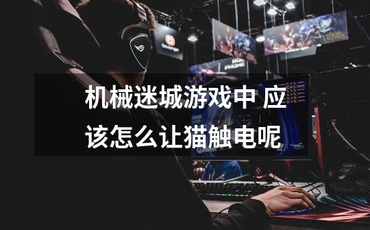 机械迷城游戏中 应该怎么让猫触电呢-第1张-游戏资讯-龙启网络