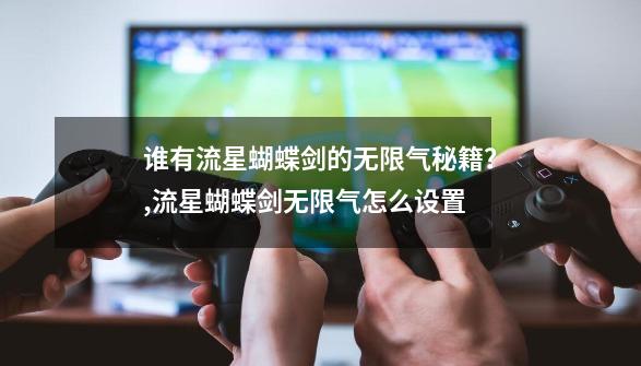 谁有流星蝴蝶剑的无限气秘籍?,流星蝴蝶剑无限气怎么设置-第1张-游戏资讯-龙启网络