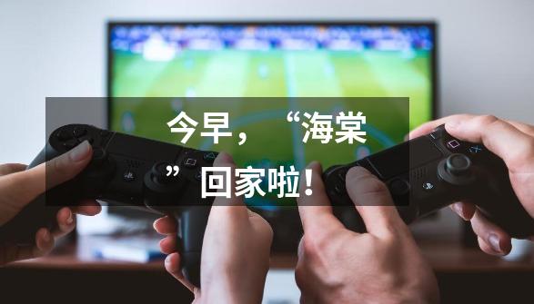 今早,“海棠”回家啦!-第1张-游戏资讯-龙启网络