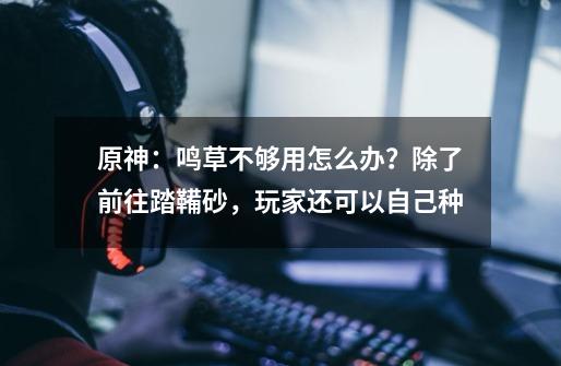 原神:鸣草不够用怎么办?除了前往踏鞴砂,玩家还可以自己种-第1张-游戏资讯-龙启网络