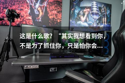 这是什么歌?“其实我想看到你,不是为了抓住你,只是怕你会忘记”_熊猫屁王要到哪去-第1张-游戏资讯-龙启网络
