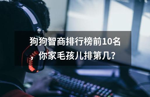 狗狗智商排行榜前10名，你家毛孩儿排第几？-第1张-游戏资讯-龙启网络