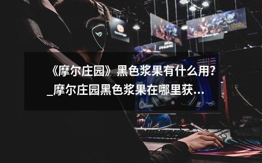 《摩尔庄园》黑色浆果有什么用?_摩尔庄园黑色浆果在哪里获得-第1张-游戏资讯-龙启网络
