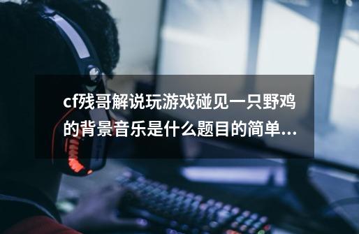 cf残哥解说玩游戏碰见一只野鸡的背景音乐是什么题目的简单介绍-第1张-游戏资讯-龙启网络