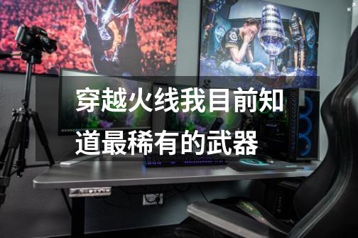 穿越火线我目前知道最稀有的武器-第1张-游戏资讯-龙启网络