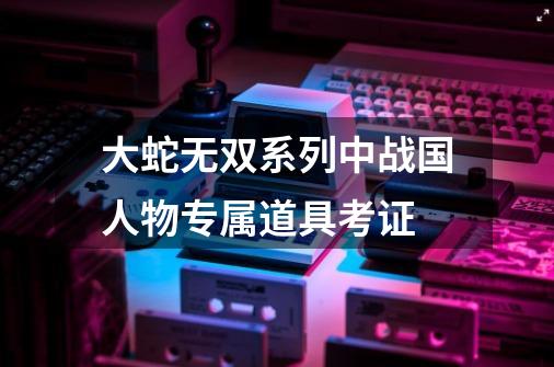 大蛇无双系列中战国人物专属道具考证-第1张-游戏资讯-龙启网络