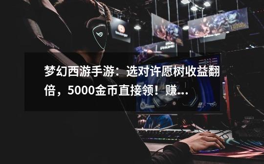 梦幻西游手游:选对许愿树收益翻倍,5000金币直接领!赚翻了!-第1张-游戏资讯-龙启网络