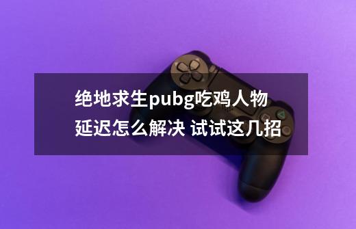 绝地求生pubg吃鸡人物延迟怎么解决 试试这几招-第1张-游戏资讯-龙启网络