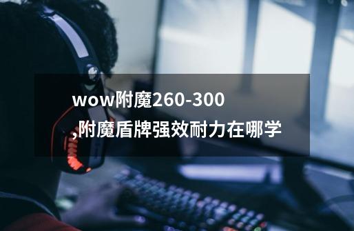 wow附魔260-300,附魔盾牌强效耐力在哪学-第1张-游戏资讯-龙启网络