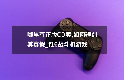 哪里有正版CD卖,如何辨别其真假?_f16战斗机游戏-第1张-游戏资讯-龙启网络
