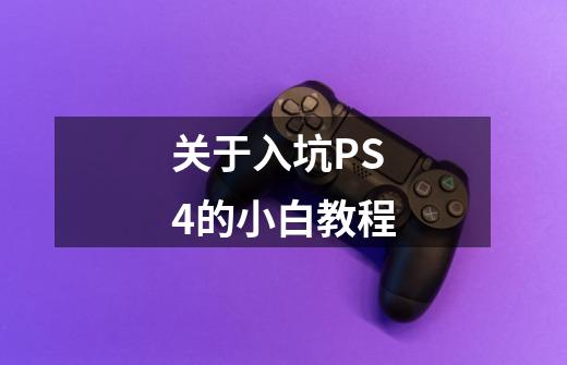 关于入坑PS4的小白教程-第1张-游戏资讯-龙启网络