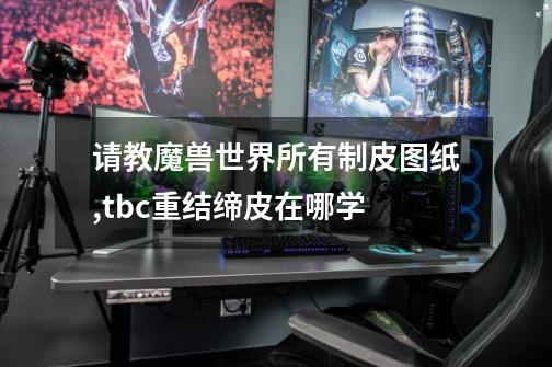 请教魔兽世界所有制皮图纸,tbc重结缔皮在哪学-第1张-游戏资讯-龙启网络