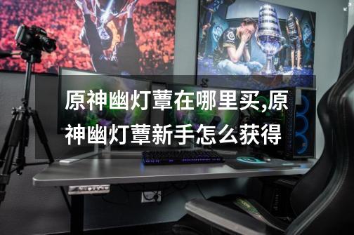 原神幽灯蕈在哪里买,原神幽灯蕈新手怎么获得-第1张-游戏资讯-龙启网络