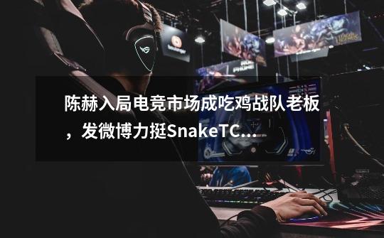 陈赫入局电竞市场成吃鸡战队老板,发微博力挺SnakeTC战队!-第1张-游戏资讯-龙启网络