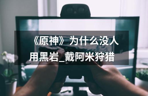 《原神》为什么没人用黑岩?_戴阿米狩猎-第1张-游戏资讯-龙启网络