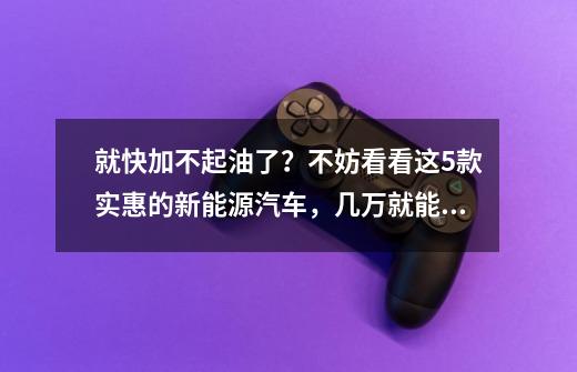 就快加不起油了?不妨看看这5款实惠的新能源汽车,几万就能拿下-第1张-游戏资讯-龙启网络