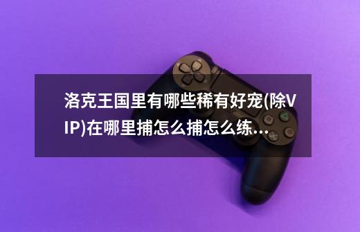 洛克王国里有哪些稀有好宠(除VIP)?在哪里捕?怎么捕?怎么练级_洛克王国追月呱呱进化-第1张-游戏资讯-龙启网络