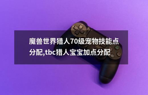 魔兽世界猎人70级宠物技能点分配,tbc猎人宝宝加点分配-第1张-游戏资讯-龙启网络