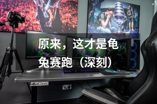 原来,这才是龟兔赛跑(深刻)-第1张-游戏资讯-龙启网络